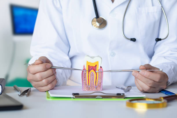 Best Emergency Root Canal Treatment in Perry Hall, MD